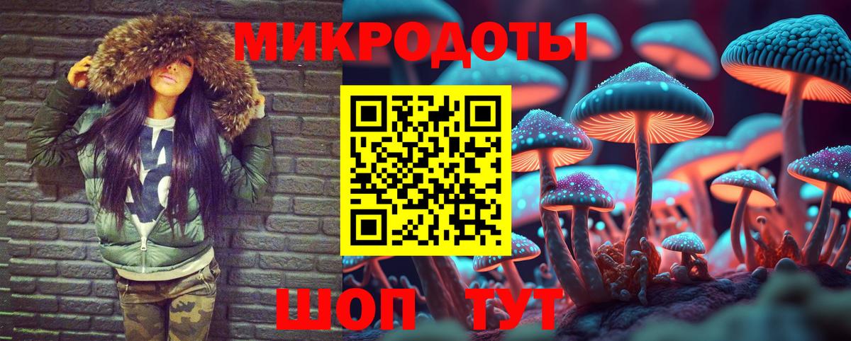 Псилоцибиновые грибы мухоморы Сланцы