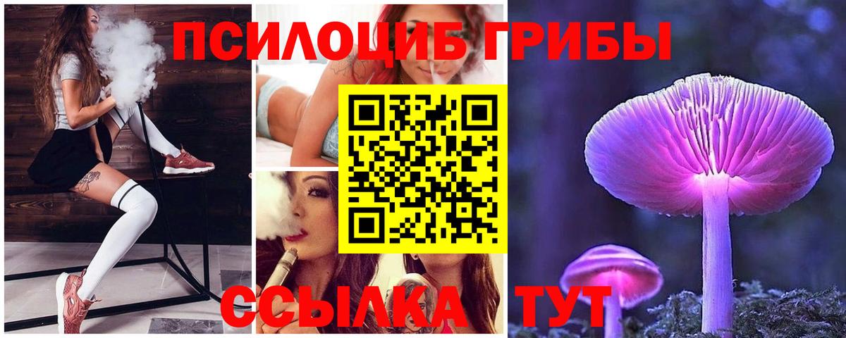 Псилоцибиновые грибы Psilocybine cubensis  Вход с VPN  Сланцы 